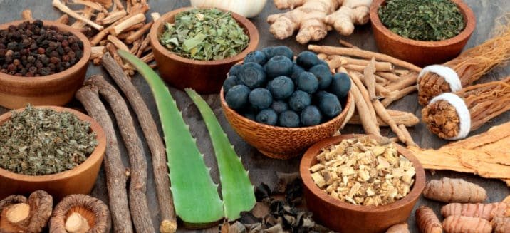 Ayurvedic herbal and medicinal plants